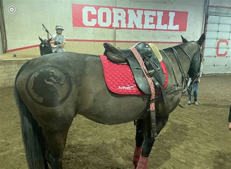 Horse (ACP) .